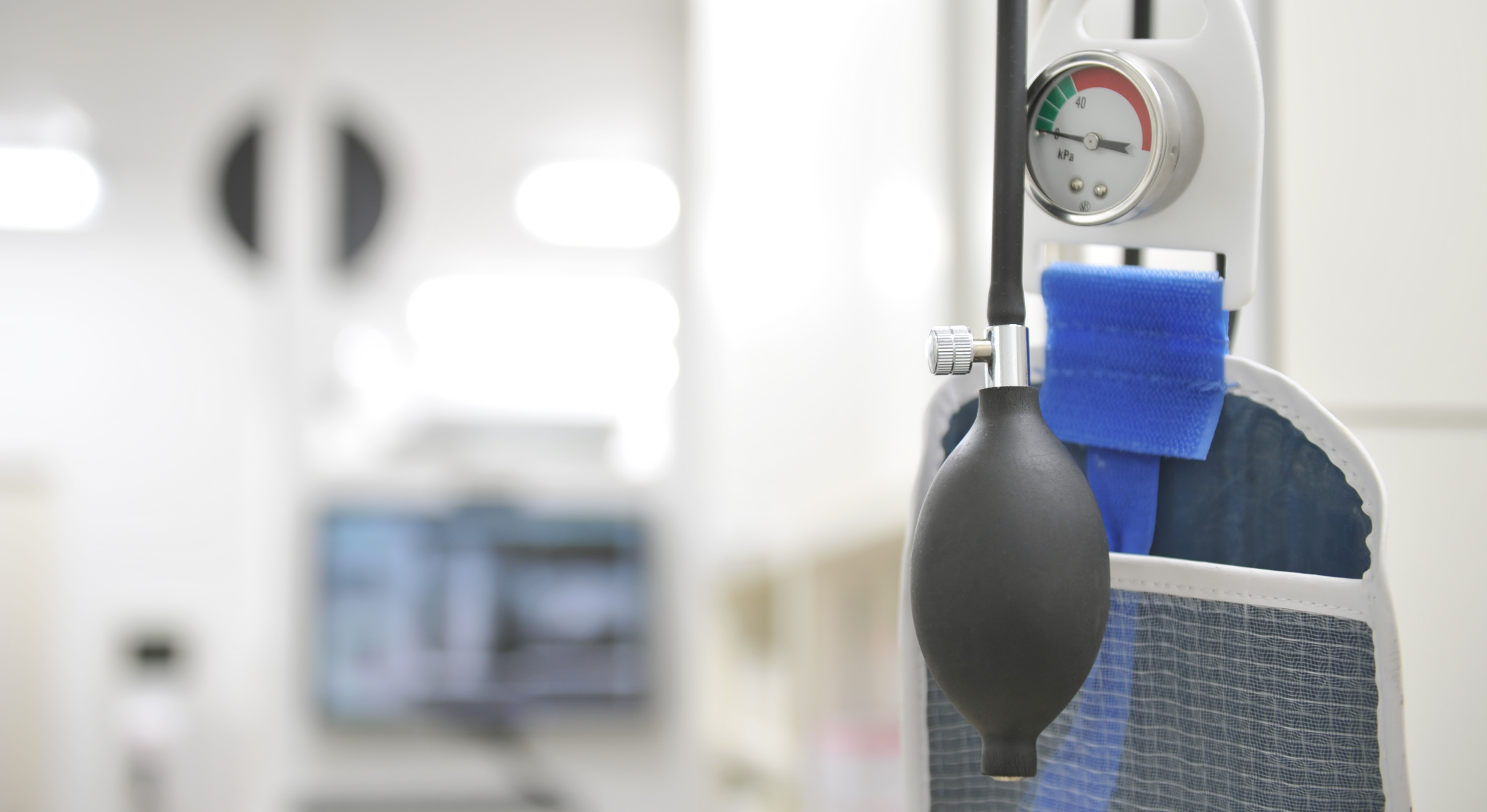 はるえ動物病院