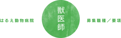 はるえ動物病院 募集職種/要項 獣医師